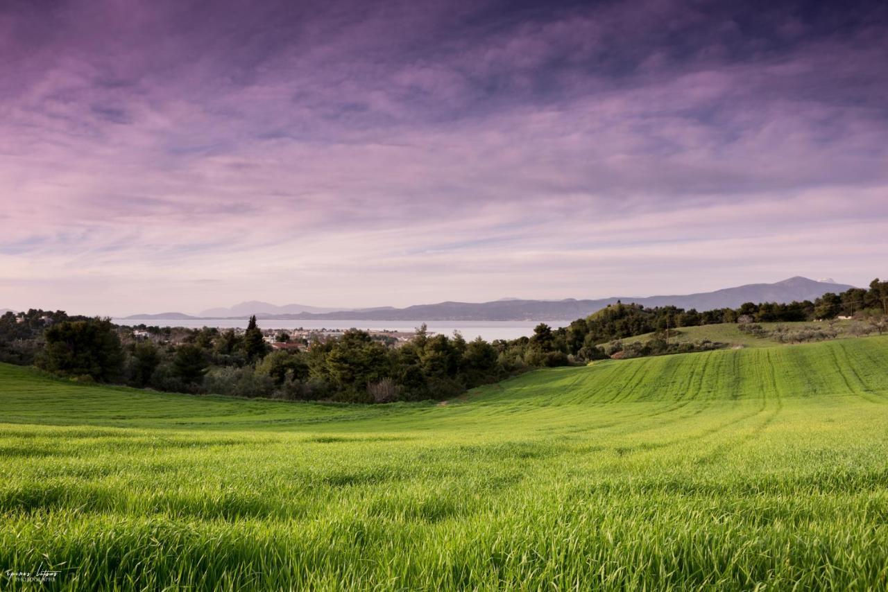 Topalidi'S Home Nea Palatia Exteriér fotografie